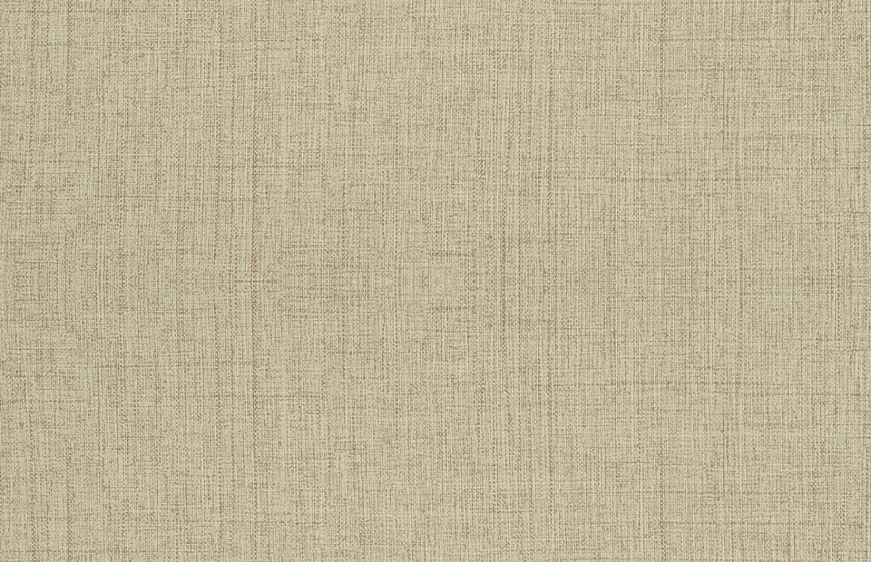 浅布纹布纹(图1)
